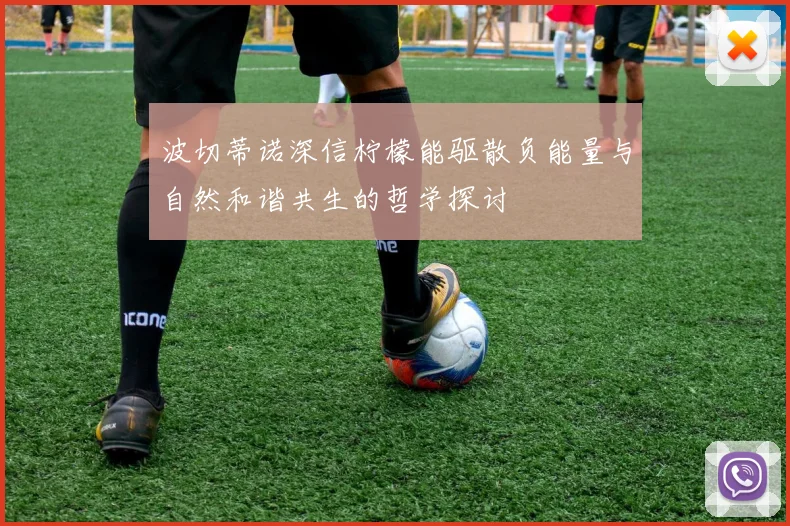 波切蒂诺深信柠檬能驱散负能量与自然和谐共生的哲学探讨
