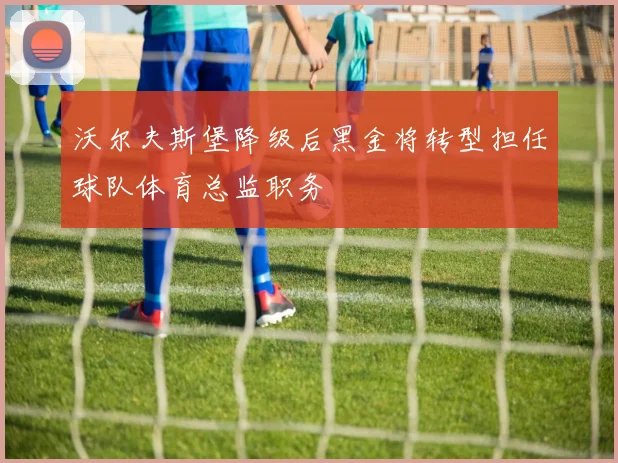 沃尔夫斯堡降级后黑金将转型担任球队体育总监职务